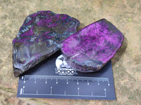 Polished On One Side Purpurite x 12 From Namibia