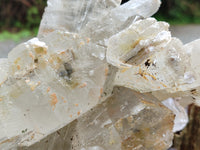 Natural Rare Gypsum Cluster x 1 From Congo