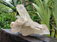 Natural Rare Gypsum Cluster x 1 From Congo