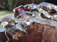 Natural Rare Brandberg Cascading Amethyst Quartz Crystal x 1 From Brandberg, Namibia