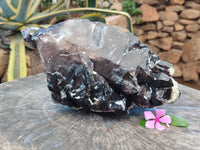 Natural Rare Brandberg Cascading Amethyst Quartz Crystal x 1 From Brandberg, Namibia