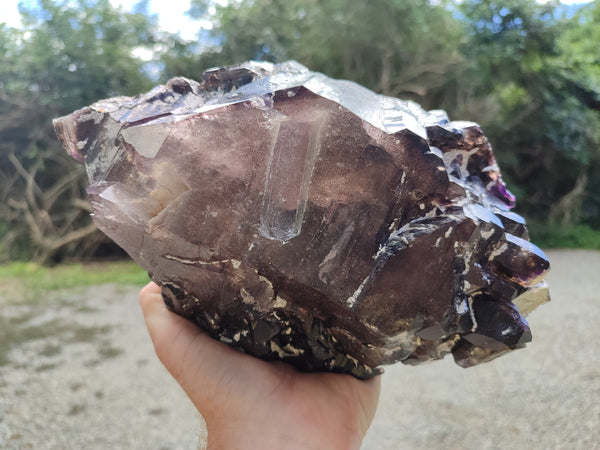 Natural Rare Brandberg Cascading Amethyst Quartz Crystal x 1 From Brandberg, Namibia