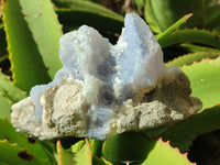 Natural Blue Lace Agate Geode Specimens x 4 From Nsanje, Malawi