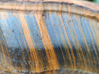 Polished On One Side Tiger's Eye Slabs x 2 From Prieska, South Africa