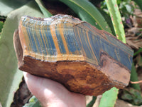 Polished On One Side Tiger's Eye Slabs x 2 From Prieska, South Africa