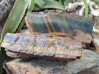 Natural Tigers Eye Specimens x 2 From Prieska, South Africa