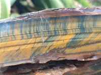 Polished On One Side Tiger's Eye Slabs x 2 From Prieska, South Africa