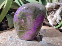 Polished Stichtite Standing Free Forms x 3 From Barberton, South Africa