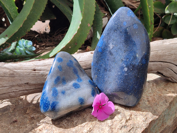 Polished Blue Spinel Spotted Quartz Standing Free Forms x 2 From Madagascar