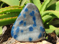 Polished Blue Spinel Spotted Quartz Standing Free Forms x 2 From Madagascar