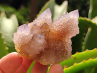 Natural Amethyst Spirit Quartz Clusters x 6 From Boekenhouthoek, South Africa