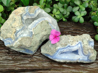 Natural Blue Lace Agate Geode Specimens x 2 From Nsanje, Malawi