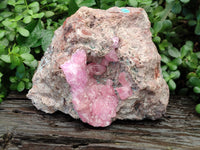 Natural Rare Rhodocalcite Specimen x 1 From Congo