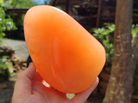 Polished Orange Twist Calcite Standing Free Forms x 2 From Madagascar