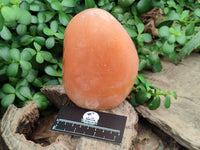 Polished Orange Twist Calcite Standing Free Forms x 2 From Madagascar