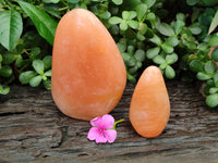 Polished Orange Twist Calcite Standing Free Forms x 2 From Madagascar