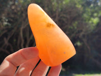 Polished Orange Twist Calcite Standing Free Forms x 2 From Madagascar