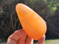 Polished Orange Twist Calcite Standing Free Forms x 2 From Madagascar