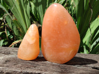 Polished Orange Twist Calcite Standing Free Forms x 2 From Madagascar