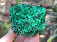 Natural Silky Malachite Specimens x 5 From Kasompe, Congo