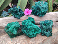 Natural Silky Malachite Specimens x 5 From Kasompe, Congo