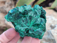 Natural Silky Malachite Specimens x 5 From Kasompe, Congo