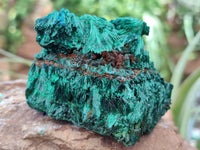 Natural Silky Malachite Specimens x 5 From Kasompe, Congo