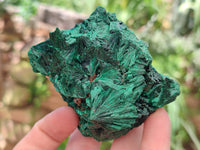 Natural Silky Malachite Specimens x 5 From Kasompe, Congo