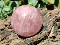 Polished Rose Quartz Spheres x 3 From Ambatondrazaka, Madagascar