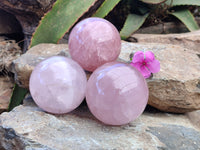 Polished Rose Quartz Spheres x 3 From Ambatondrazaka, Madagascar