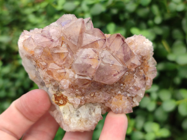 Natural Amethyst Spirit Quartz Clusters x 6 From Boekenhouthoek, South Africa