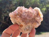 Natural Amethyst Spirit Quartz Clusters x 6 From Boekenhouthoek, South Africa