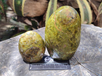 Polished Green Opal Standing Free Forms x 3 From Antsirabe, Madagascar