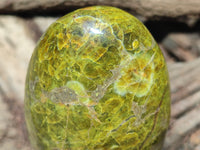 Polished Green Opal Standing Free Forms x 3 From Antsirabe, Madagascar