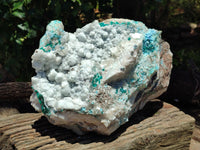 Natural Kaolinite Coated Dolomite On Dioptase Specimen x 1 From Congo