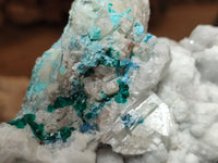 Natural Kaolinite Coated Dolomite On Dioptase Specimen x 1 From Congo