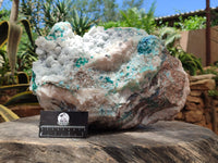 Natural Kaolinite Coated Dolomite On Dioptase Specimen x 1 From Congo