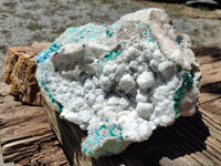 Natural Kaolinite Coated Dolomite On Dioptase Specimen x 1 From Congo