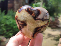 Polished Septerye Hearts x 6 From Mahajanga, Madagascar