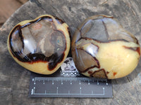 Polished Septerye Hearts x 6 From Mahajanga, Madagascar