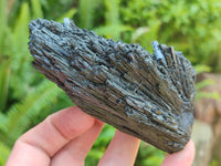 Natural Schorl Black Tourmaline Specimens x 6 From Erongo, Namibia