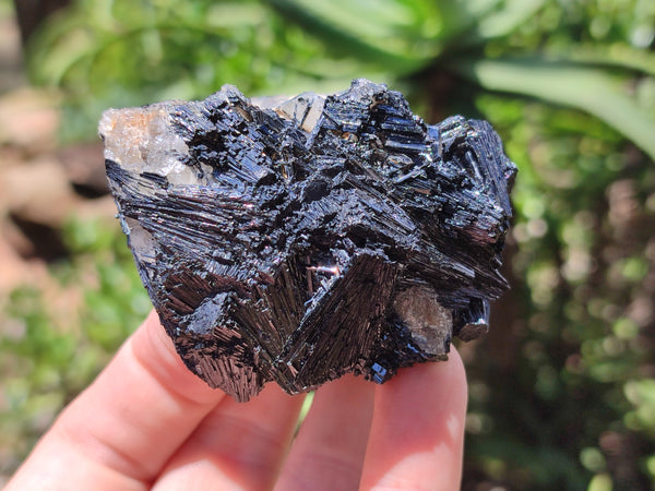 Natural Schorl Black Tourmaline Specimens x 6 From Erongo, Namibia