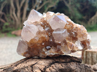 Natural Spirit Quartz Clusters x 4 From Boekenhouthoek, South Africa