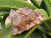 Natural Spirit Quartz Clusters x 4 From Boekenhouthoek, South Africa