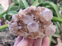 Natural Spirit Quartz Clusters x 4 From Boekenhouthoek, South Africa