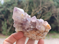 Natural Spirit Quartz Clusters x 4 From Boekenhouthoek, South Africa