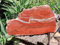 Natural Red Jasper Plate Specimen x 1 From Northern Cape