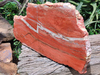 Natural Red Jasper Plate Specimen x 1 From Northern Cape