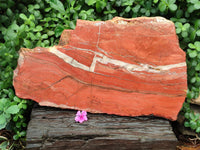 Natural Red Jasper Plate Specimen x 1 From Northern Cape