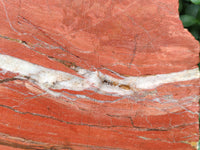 Natural Red Jasper Plate Specimen x 1 From Northern Cape